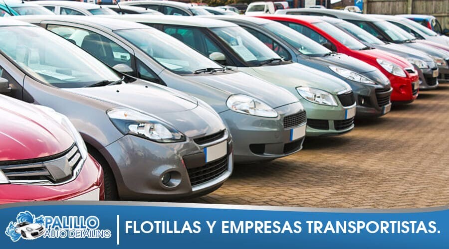 flotillas-palillo-autodetailing-c1 PALILLO AUTODETAILING LAVADO FLOTILLAS