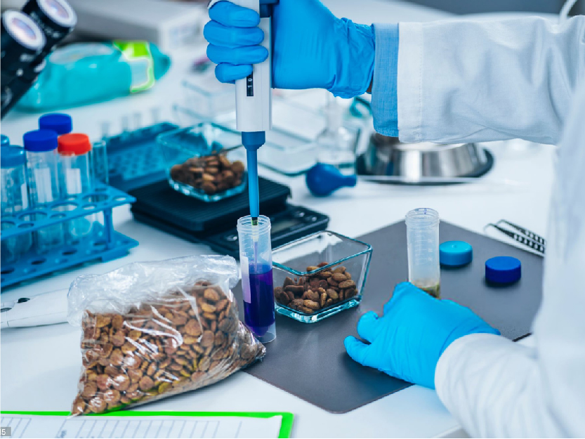 Bioquimica_donghseng