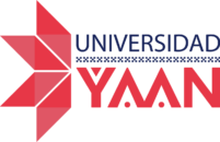 Universidad Yaan